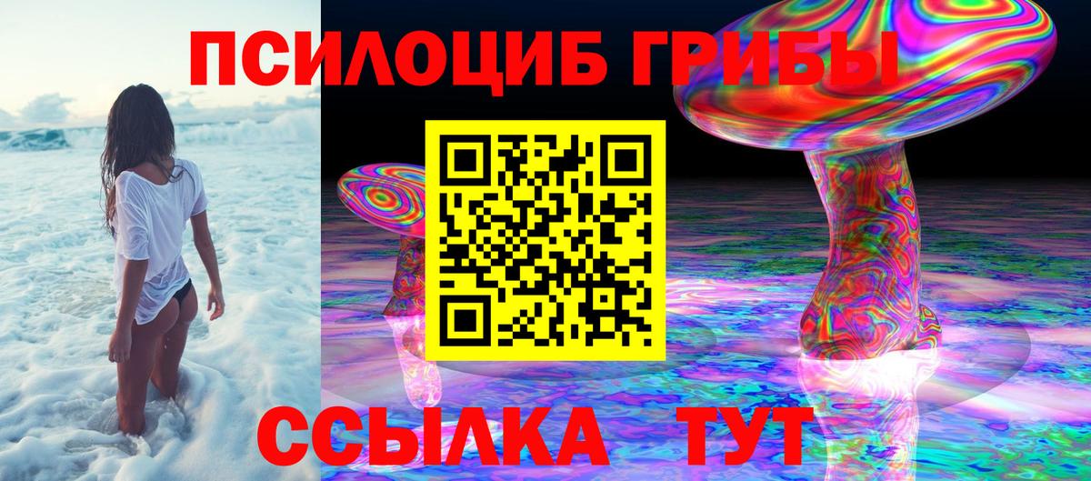 Галлюциногенные грибы Cubensis  Вход с VPN  Лесосибирск 